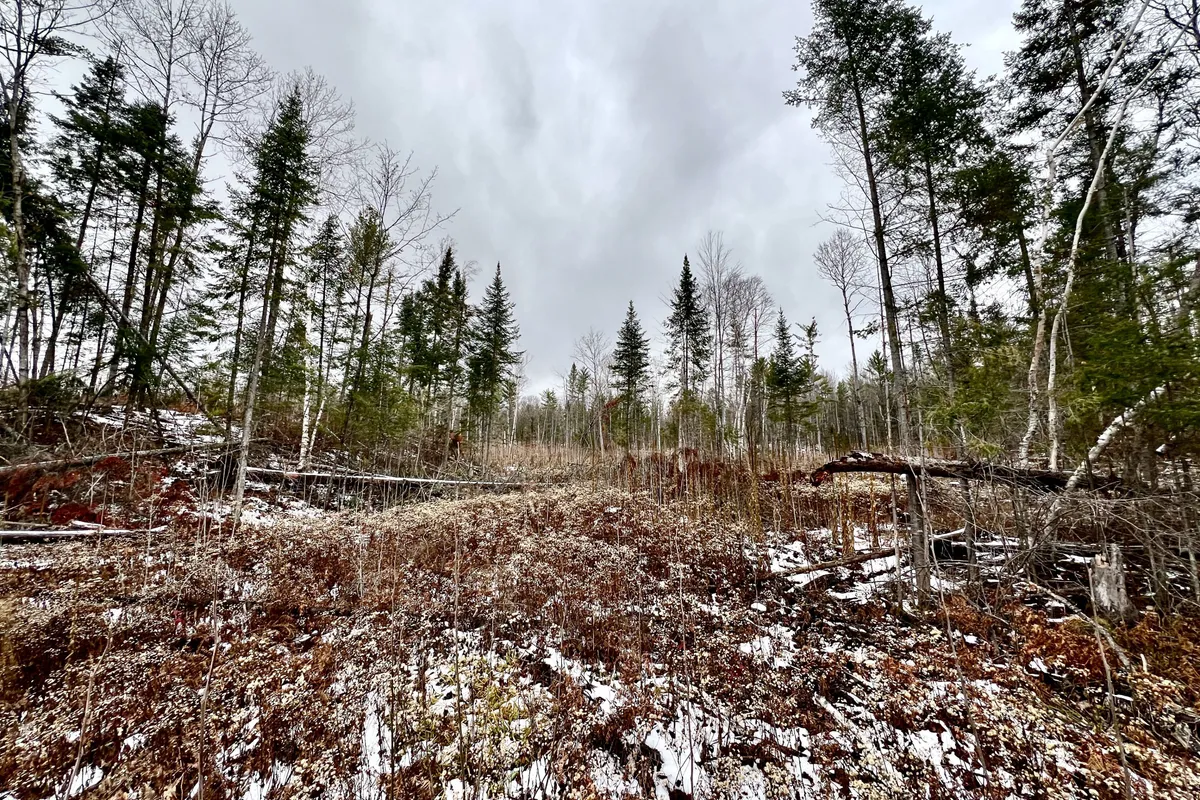 744 Black Creek Road, ON K8A 6W5