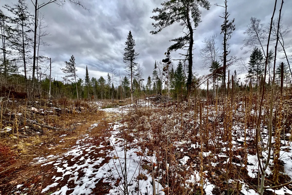 744 Black Creek Road, ON K8A 6W5