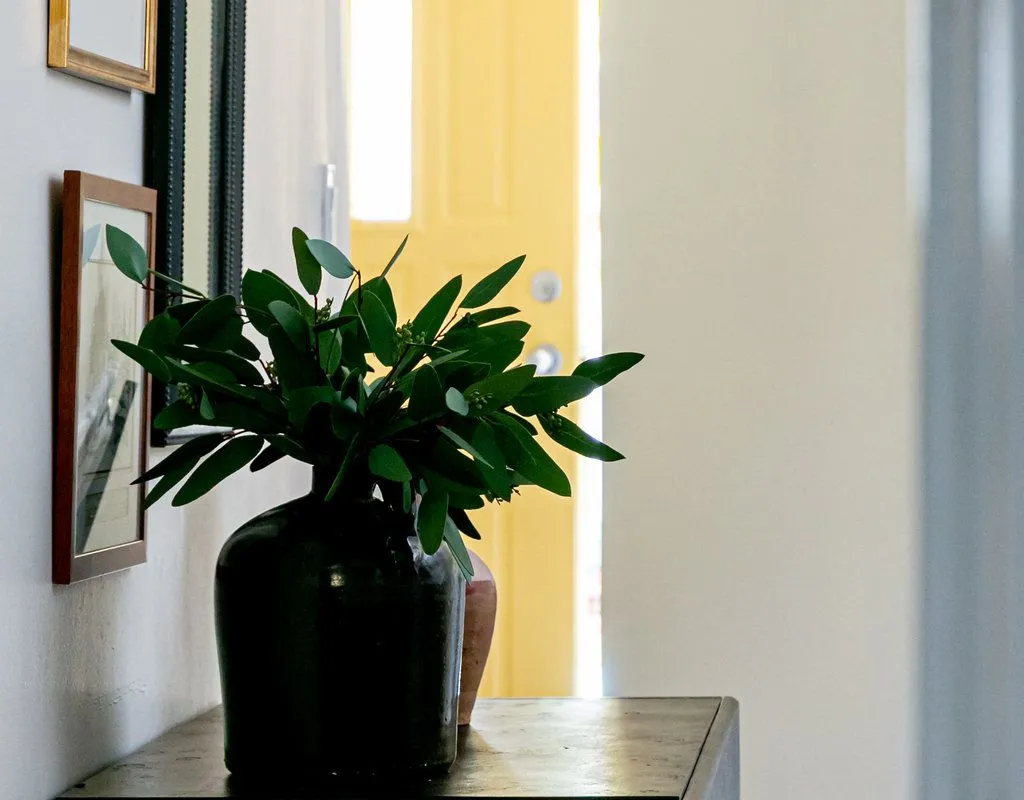 49 Madison Avenue, ON L8L 5Y5