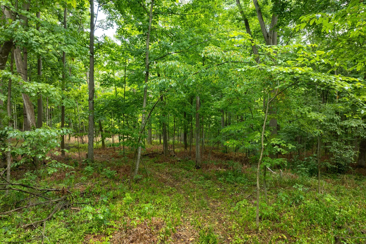 2435 Quabbin Road, ON K0H 2H0