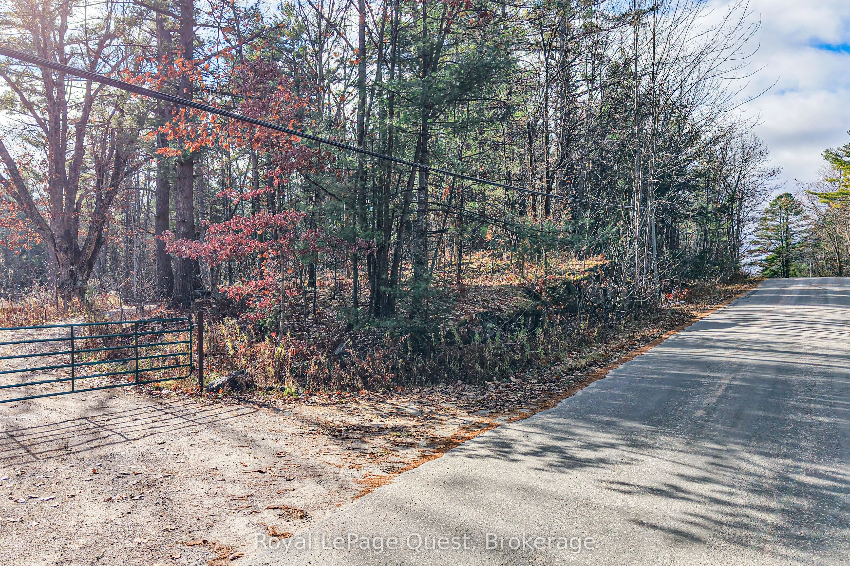 Vacant Land interior view at 1267 Graham Road Gravenhurst