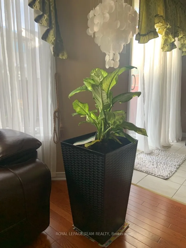 Detached kitchen at 115 Macara Crescent Kanata