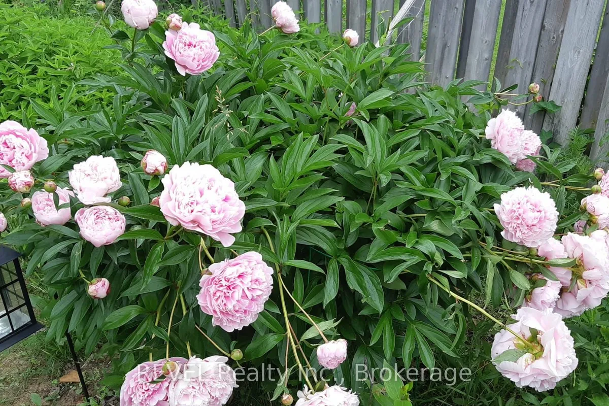 1156 Vera Street, ON P3N 1M6