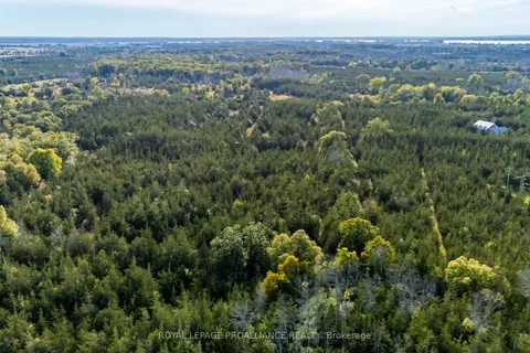 Lot 45 Sprague Road, Prince Edward County, ON K0K 1W0