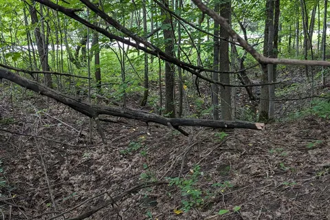 N/A Bowles Bluff Rd, Grey Highlands, ON N0C 1H0