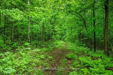 0 Colbourne Rd, Bancroft, ON K9H 2L1