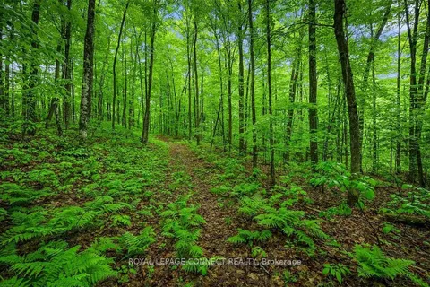 0 Colbourne Rd, Bancroft, ON K9H 2L1