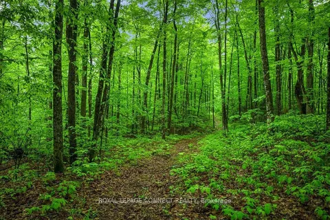 0 Colbourne Rd, Bancroft, ON K9H 2L1