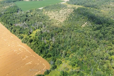 Lot 31 9 County Road, Melancthon, ON N0C 1B0