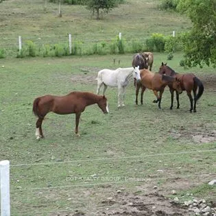 471 Wellmans Road, Stirling-Rawdon, ON K0K 3E0