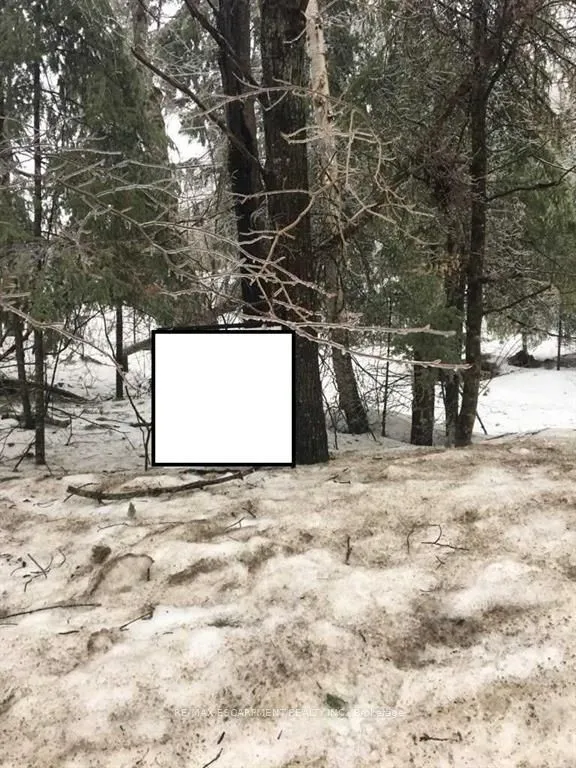 1173 South Baptiste Lake Road, ON K0L 1C0