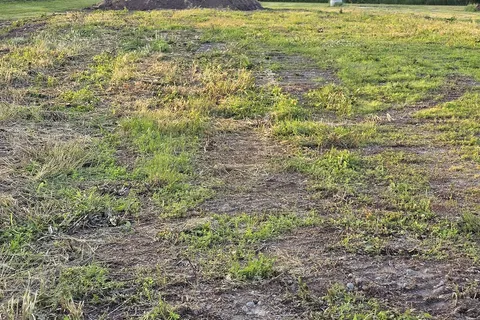 0B County Rd 8 (Hoards) Rd, Trent Hills, ON K0K 1L0