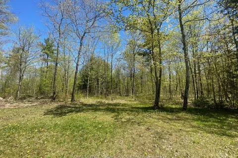 0 Centre Line Rd, Marmora and Lake, ON K0K 2M0