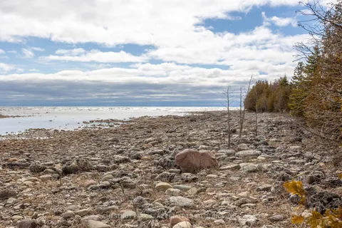 LT 30 Borden Dr, Northern Bruce Peninsula, ON N0H 2R0