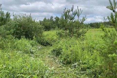 Lot 20 8th Line, Amaranth, ON L9W 0J8