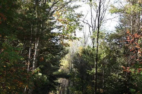 . ., Minden Hills, ON K0M 2A1