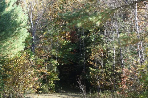 . ., Minden Hills, ON K0M 2A1