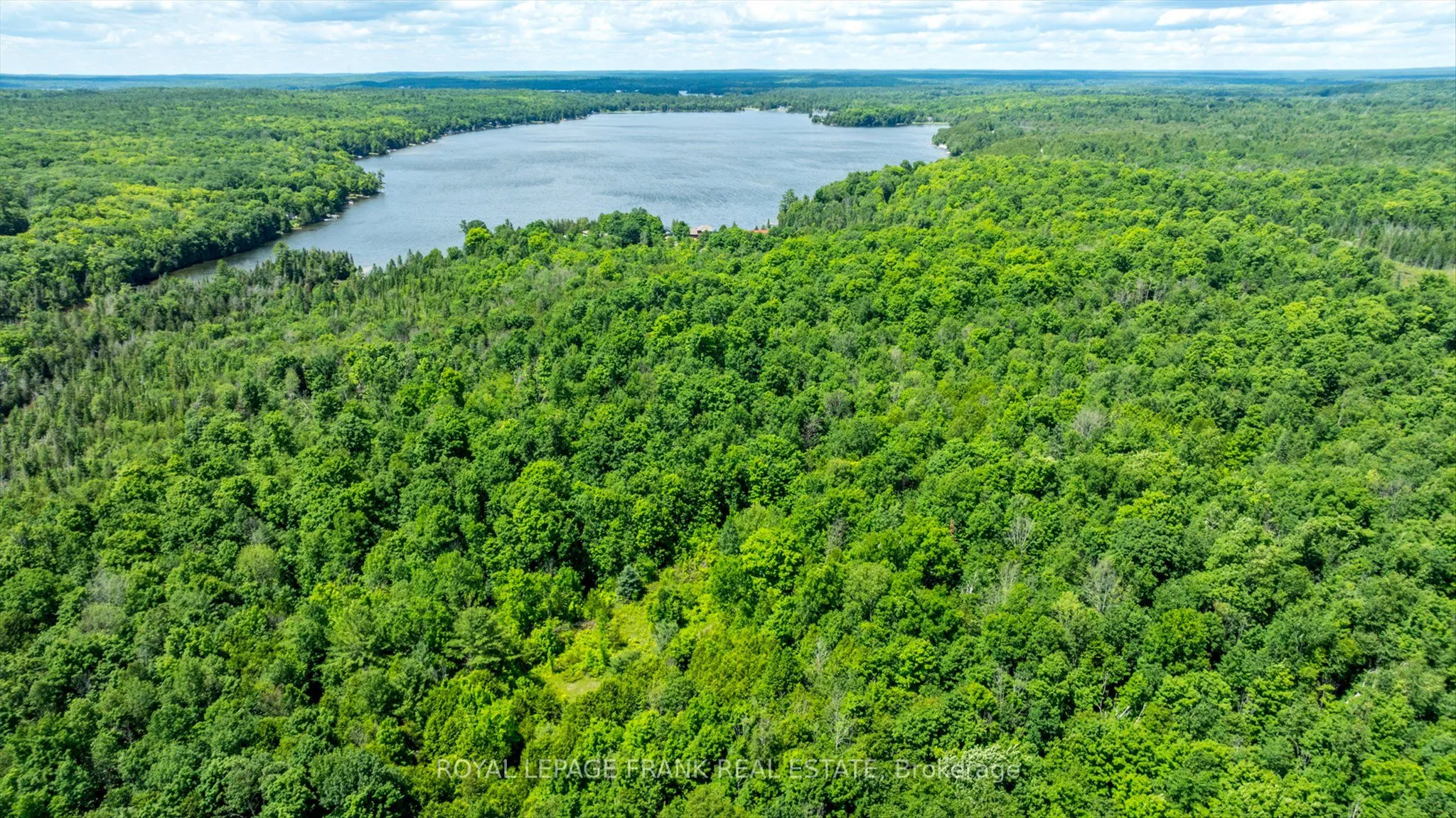 0 Patterson Road, Douro-Dummer, ON K0L 2H0