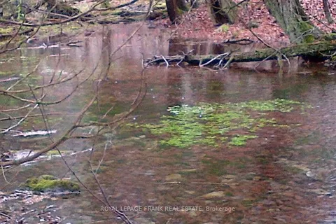 0 Patterson Road, Douro-Dummer, ON K0L 2H0