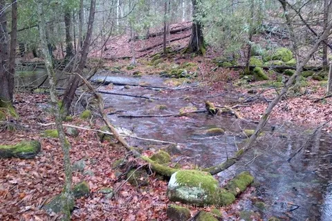 0 Patterson Road, Douro-Dummer, ON K0L 2H0