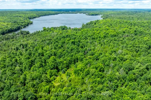 0 Patterson Road, Douro-Dummer, ON K0L 2H0