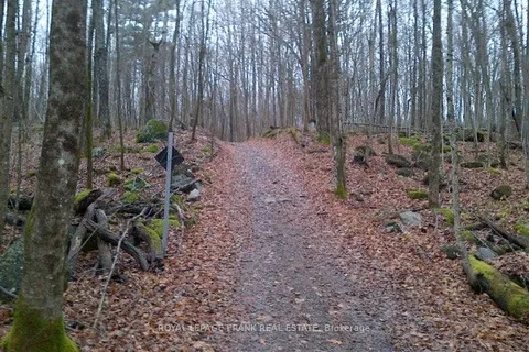 0 Patterson Road, Douro-Dummer, ON K0L 2H0