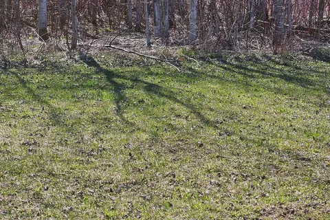 7234 FIRST Line, Centre Wellington, ON N0G 1A0