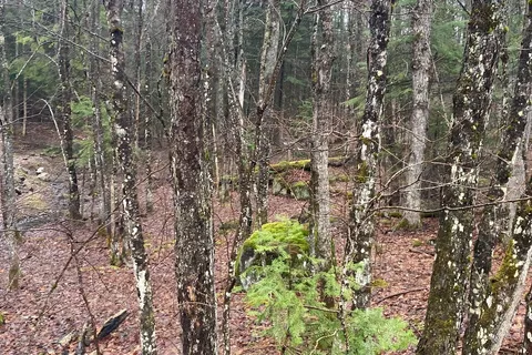 66 Lake Haven Dr, Kearney, ON P0A 1M0