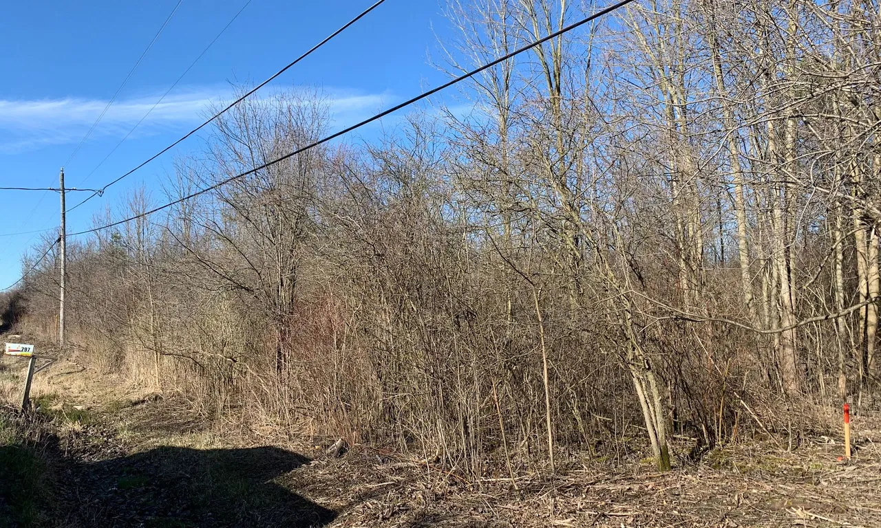 796 Aikens Rd, Haldimand, ON N1A 2W3