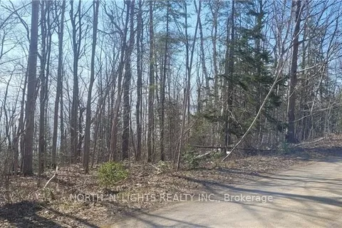 16 HARKINS ROAD Road, Northern Bruce Peninsula, ON N0H 1W0