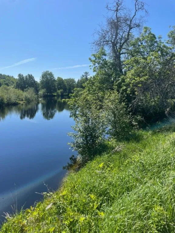 0 Chemaushgon Rd, Bancroft, ON K0L 1C0