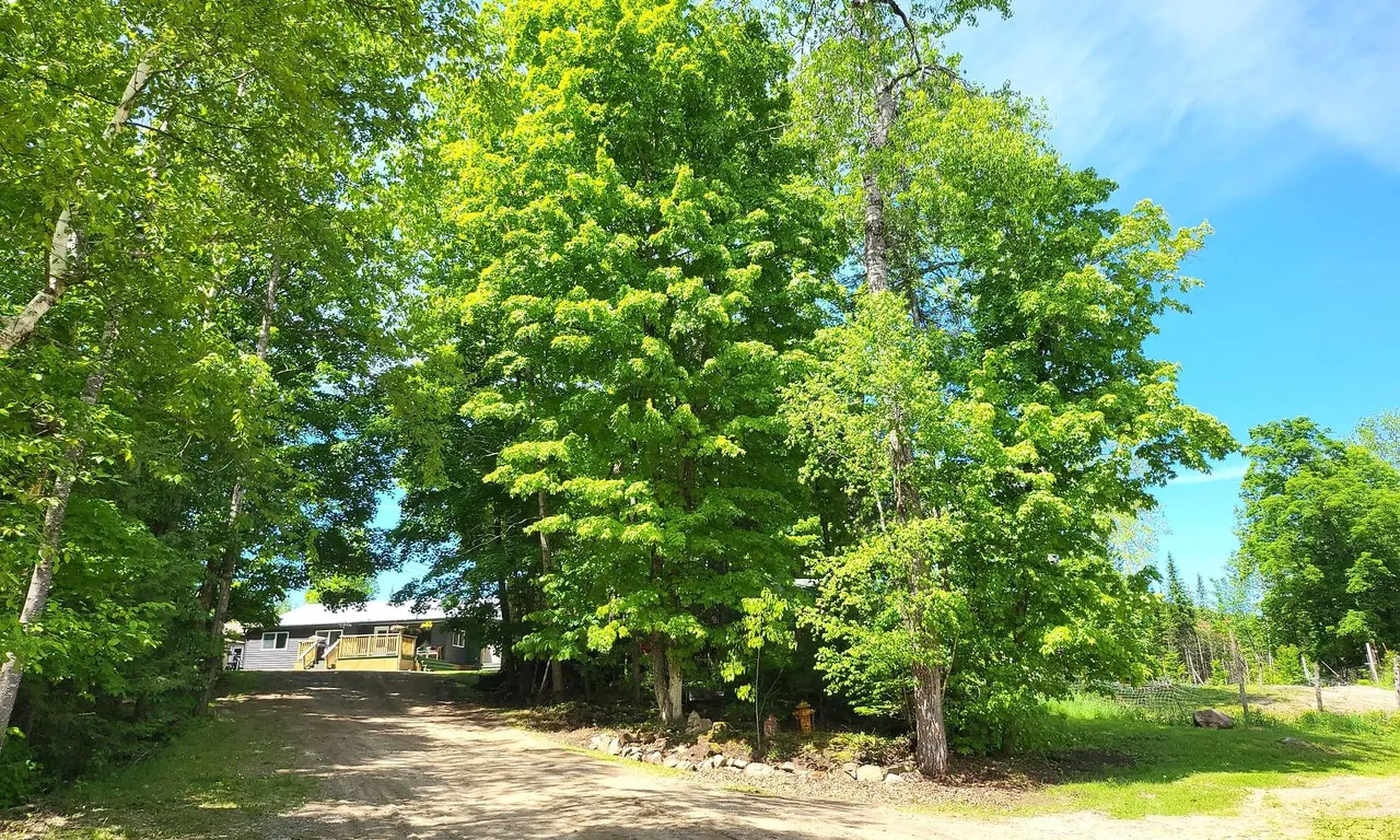 2586 Old Hastings Rd, Wollaston, ON K0L 1P0