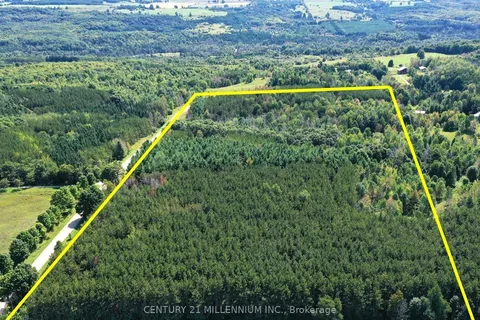 597334 2nd Line, Mulmur, ON L9V 0B4