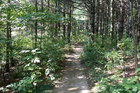 597334 2nd Line, Mulmur, ON L9V 0B4