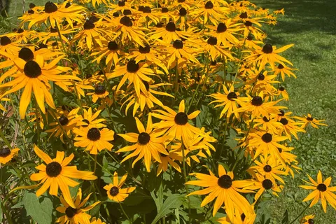 597334 2nd Line, Mulmur, ON L9V 0B4