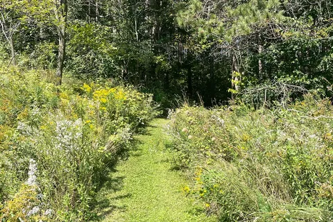 597334 2nd Line, Mulmur, ON L9V 0B4