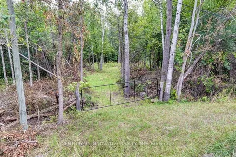 791 Mount Horeb Road, Kawartha Lakes, ON K0L 2W0