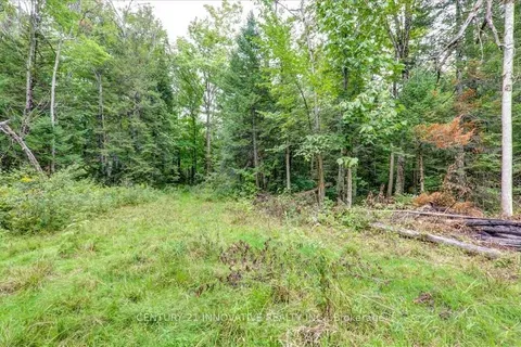 791 Mount Horeb Road, Kawartha Lakes, ON K0L 2W0