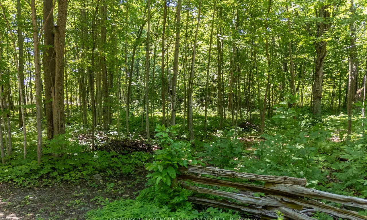 15 -TBD Post Rd, Centre Hastings, ON K0K 3H0