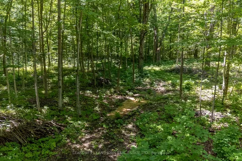 15 -TBD Post Rd, Centre Hastings, ON K0K 3H0