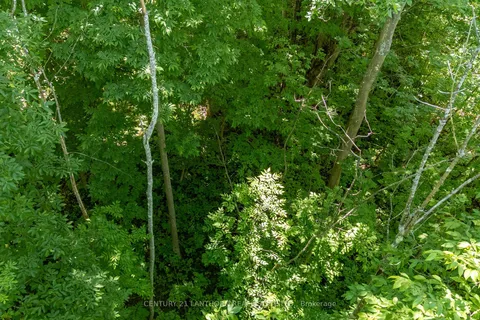 15 -TBD Post Rd, Centre Hastings, ON K0K 3H0