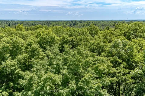 15 -TBD Post Rd, Centre Hastings, ON K0K 3H0