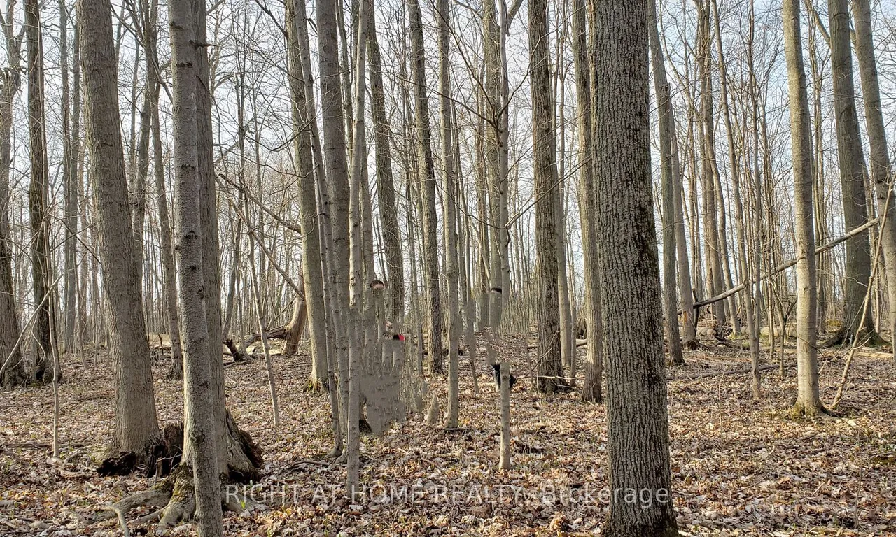 Farm interior view at 2606 (PT 2) - Burger Rd Fort Erie