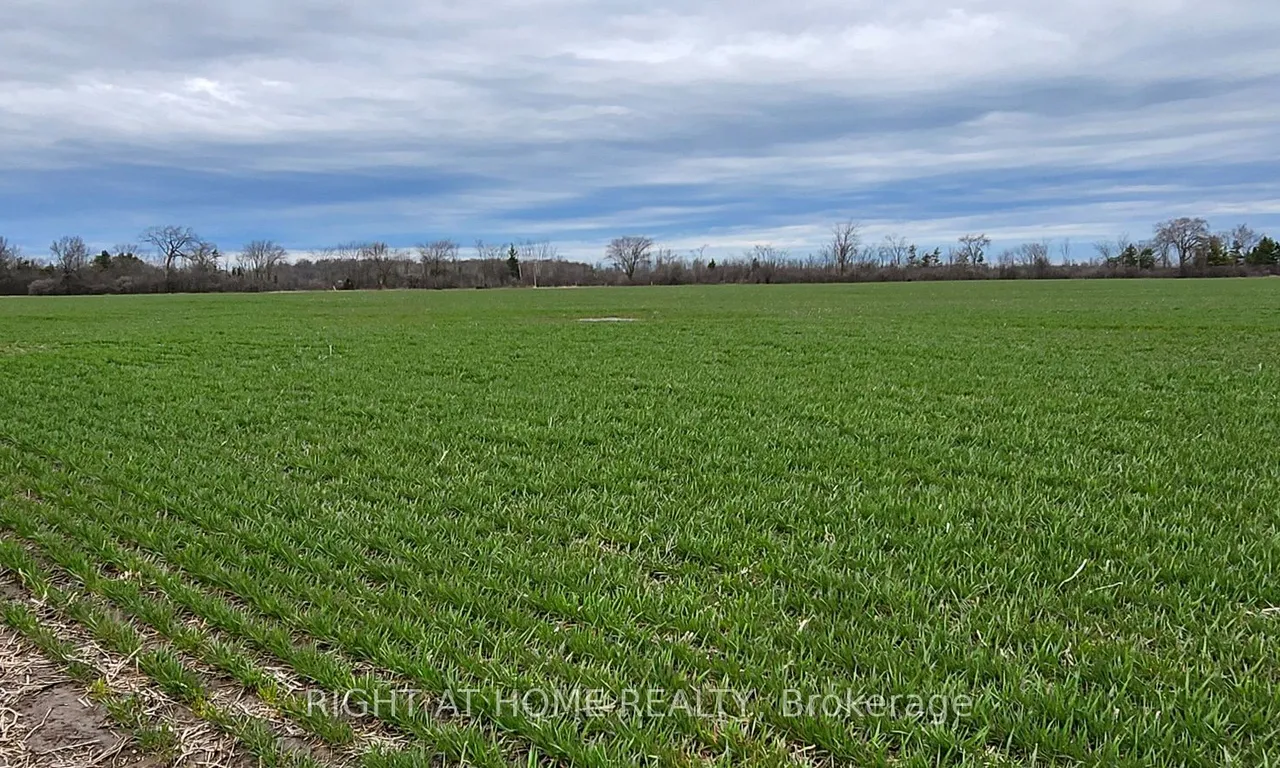 Farm living room at 2606 (PT 2) - Burger Rd Fort Erie