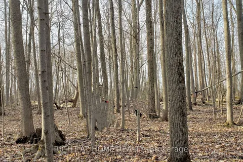 2606 (PT 2) - Burger Rd, Fort Erie, ON L0S 1S0