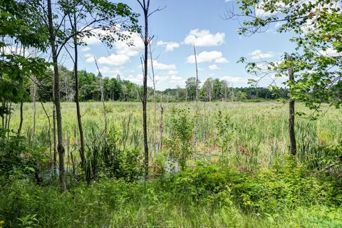 23447 Hwy 62, Limerick, ON K0L 1P0