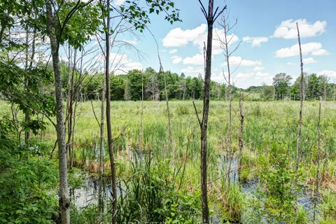 23447 Hwy 62, Limerick, ON K0L 1P0