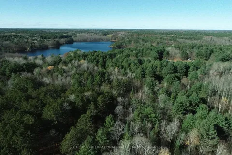 1067 Thomas Rd, Gravenhurst, ON P1P 1R3