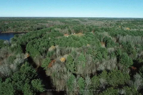 1067 Thomas Rd, Gravenhurst, ON P1P 1R3