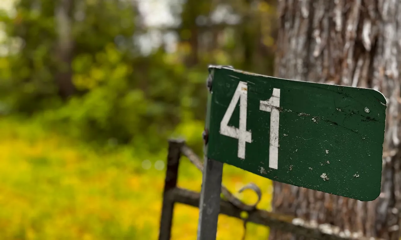 41 Back Lane, Prince Edward County, ON K0K 2P0